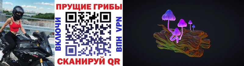 Псилоцибиновые грибы GOLDEN TEACHER  Горбатов 